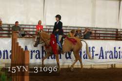 15YN_31096 thumbnail