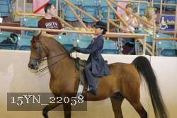 15YN_22058 thumbnail