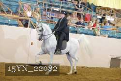 15YN_22082 thumbnail