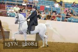 15YN_22084 thumbnail