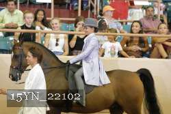 15YN_22102 thumbnail