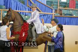 15YN_22133 thumbnail