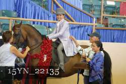 15YN_22135 thumbnail