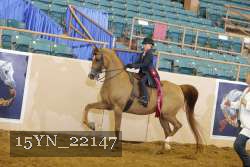 15YN_22147 thumbnail