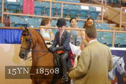 15YN_18508 thumbnail