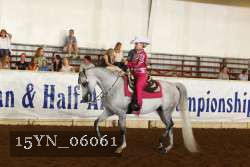 15YN_06061 thumbnail