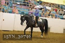 15YN_30746 thumbnail