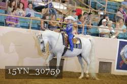 15YN_30750 thumbnail