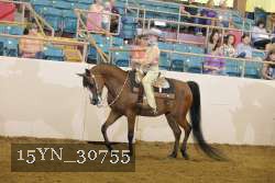 15YN_30755 thumbnail