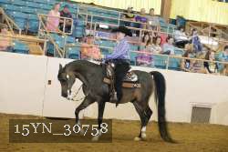 15YN_30758 thumbnail