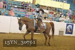 15YN_30761 thumbnail