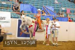 15YN_12798 thumbnail