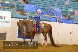 15YN_12881 thumbnail
