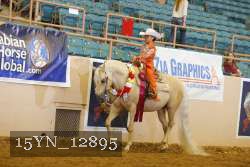 15YN_12895 thumbnail