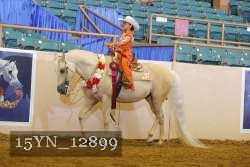 15YN_12899 thumbnail
