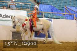 15YN_12900 thumbnail