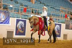 15YN_12912 thumbnail