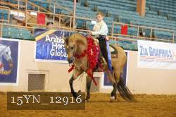 15YN_12916 thumbnail