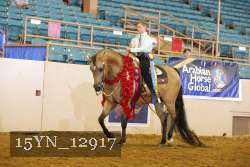 15YN_12917 thumbnail