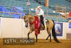 15YN_12920 thumbnail