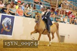 15YN_00974 thumbnail
