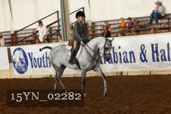 15YN_02282 thumbnail