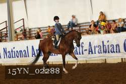15YN_02288 thumbnail