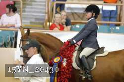 15YN_20430 thumbnail