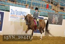 15YN_20441 thumbnail