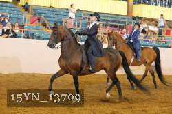 15YN_13709 thumbnail