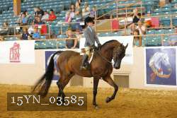 15YN_03585 thumbnail