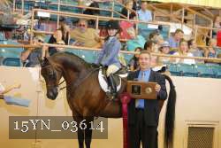 15YN_03614 thumbnail