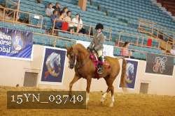 15YN_03740 thumbnail