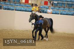 15YN_06181 thumbnail