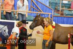 15YN_06356 thumbnail
