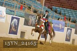 15YN_24165 thumbnail
