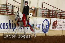 15YN_16041 thumbnail