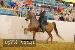 15YN_01141 thumbnail