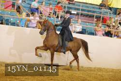 15YN_01145 thumbnail