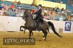 15YN_01176 thumbnail
