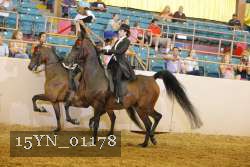 15YN_01178 thumbnail