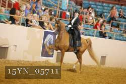 15YN_05711 thumbnail