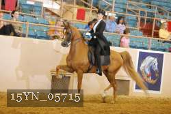 15YN_05715 thumbnail