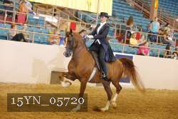 15YN_05720 thumbnail