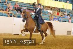 15YN_05721 thumbnail