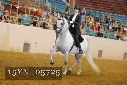 15YN_05725 thumbnail