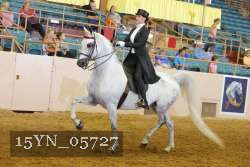 15YN_05727 thumbnail