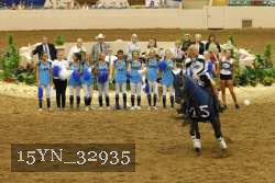 15YN_32935 thumbnail