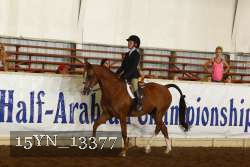 15YN_13377 thumbnail