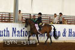 15YN_13488 thumbnail